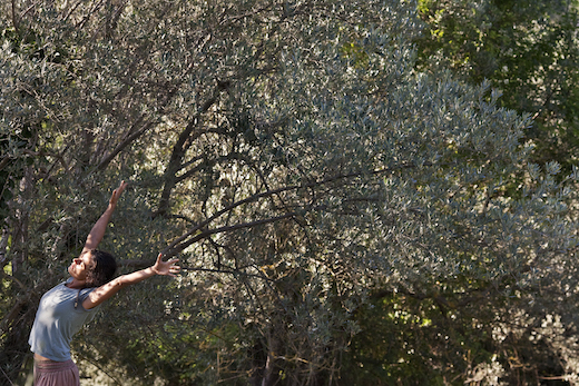 teatronatura_museoolivo1